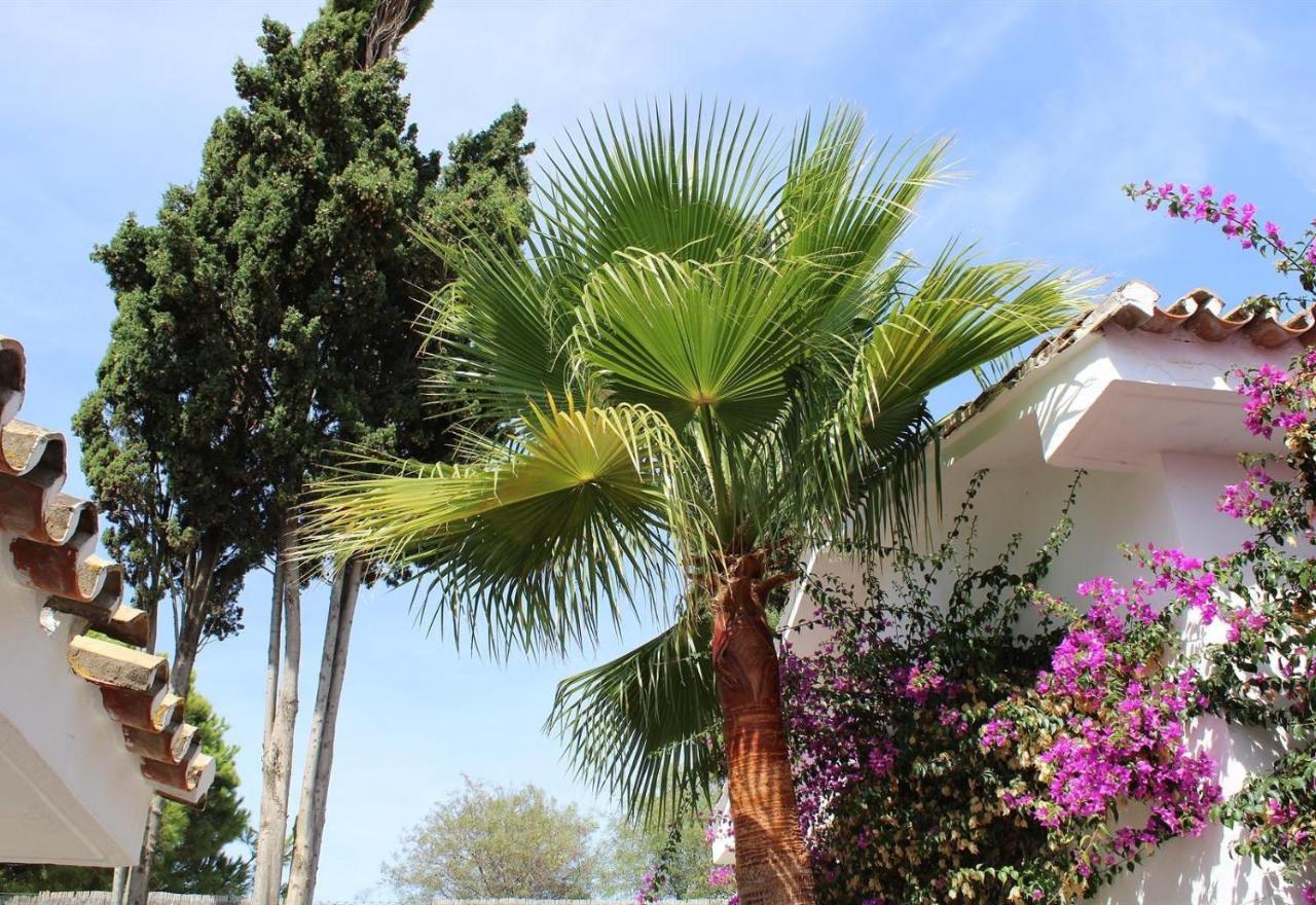 Casa Green Sitio de Calahonda المظهر الخارجي الصورة